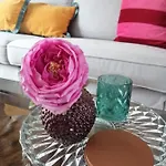 Large 800m From The 90 Square Meters 奥斯滕德