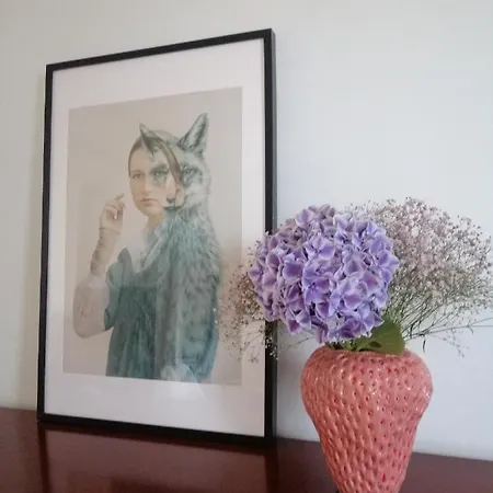 Large 800m From The 90 Square Meters *