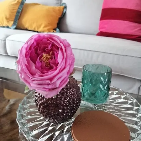 Large 800m From The 90 Square Meters Oostende