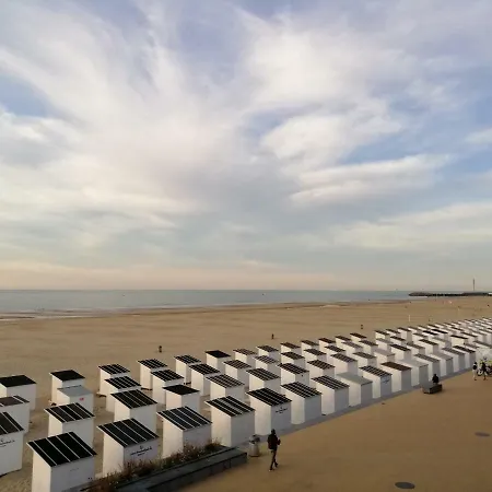 Large 800m From The 90 Square Meters * Oostende